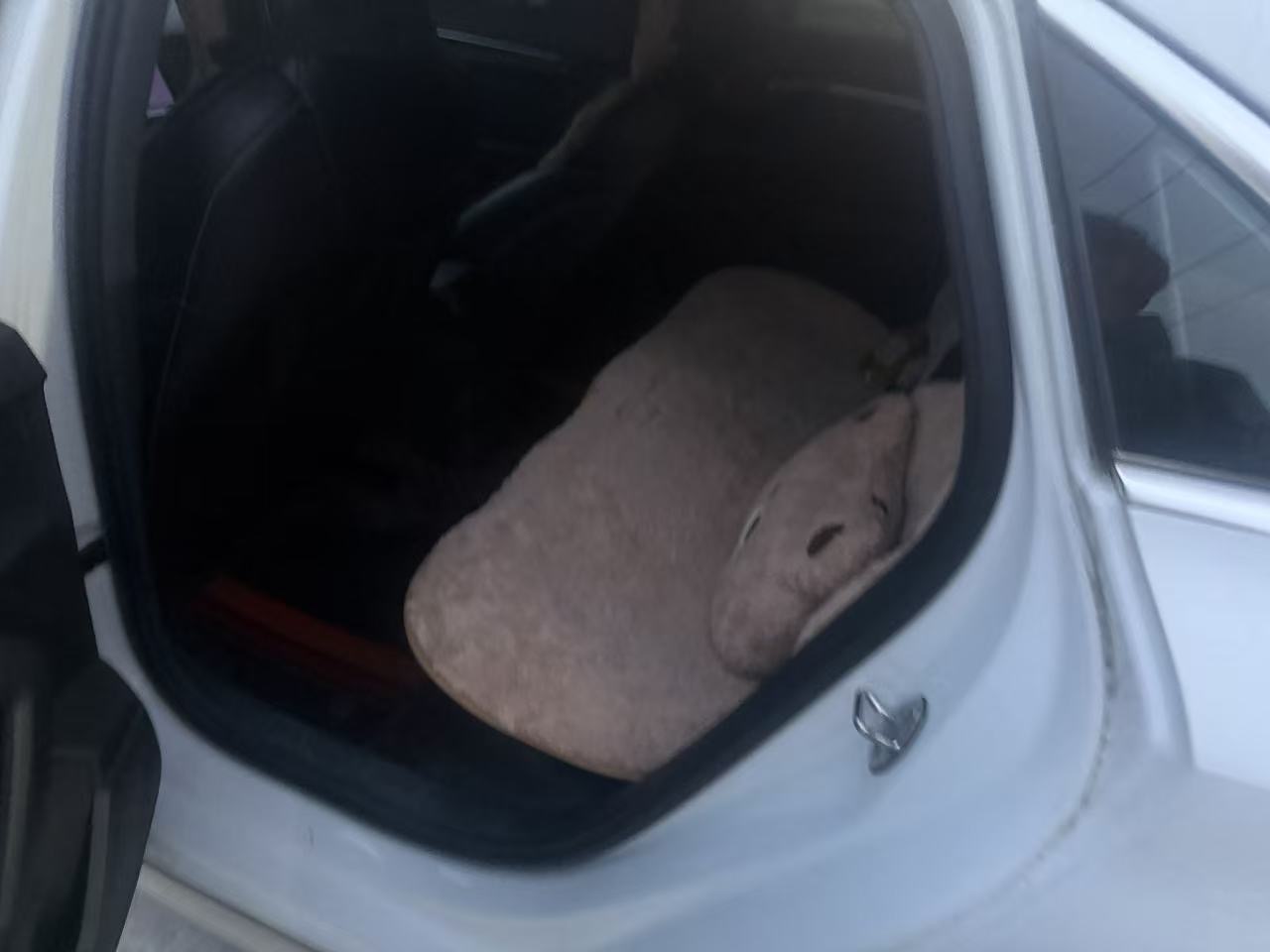 2022 immagine di auto #4