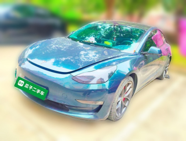 Tesla Model 3 2022 car image 