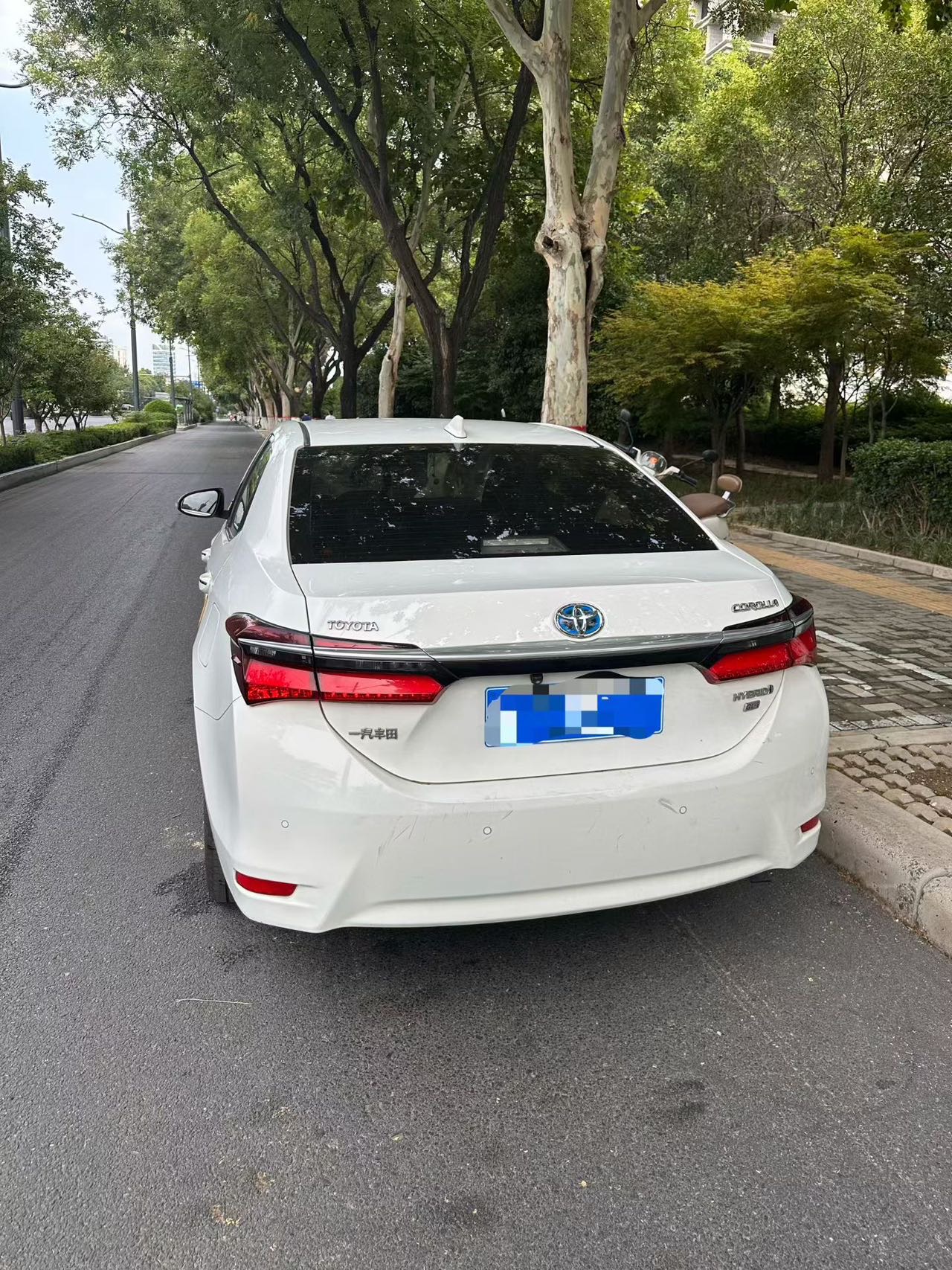 Toyota Corolla 2018 car image #5