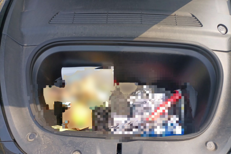 Tesla Model Y 2023 #18 Tesla Model Y 2023 car image #18