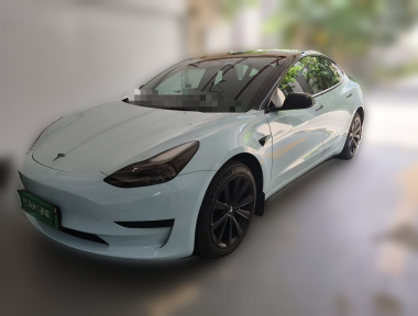 Tesla Model 3 2021 car image 