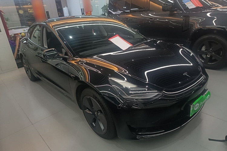 Tesla Model 3 2021 #4 Tesla Model 3 2021 car image #4