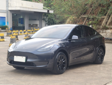 Tesla Model Y 2024 car image 