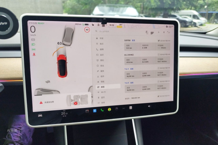Tesla Model 3 2020 car image #13