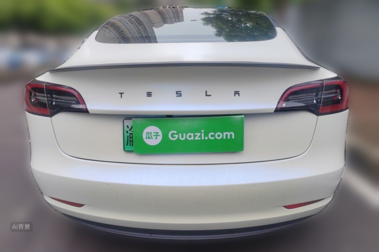 Tesla Model 3 2021 car image #6