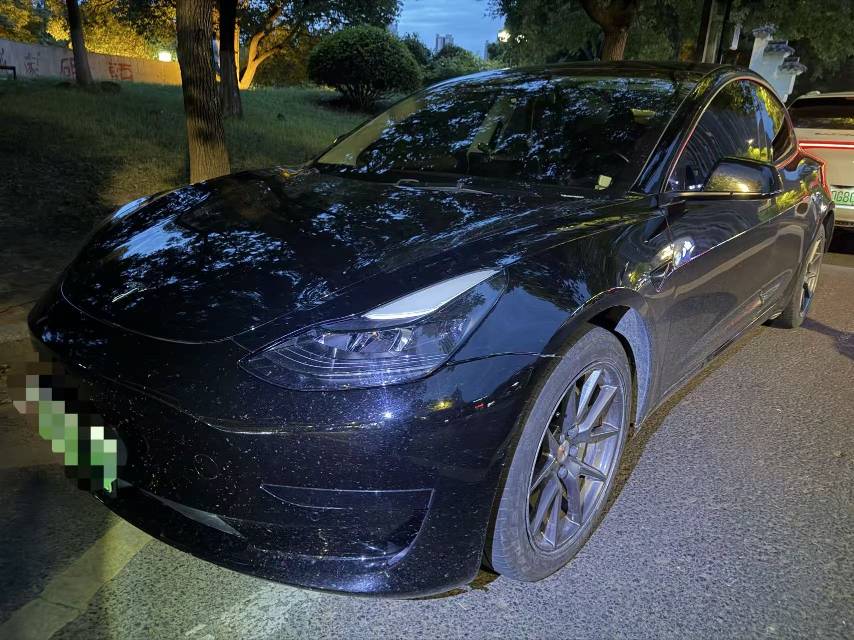 Tesla Model 3 2021 car image 