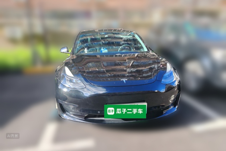 Tesla Model 3 2021 #3 Tesla Model 3 2021 car image #3
