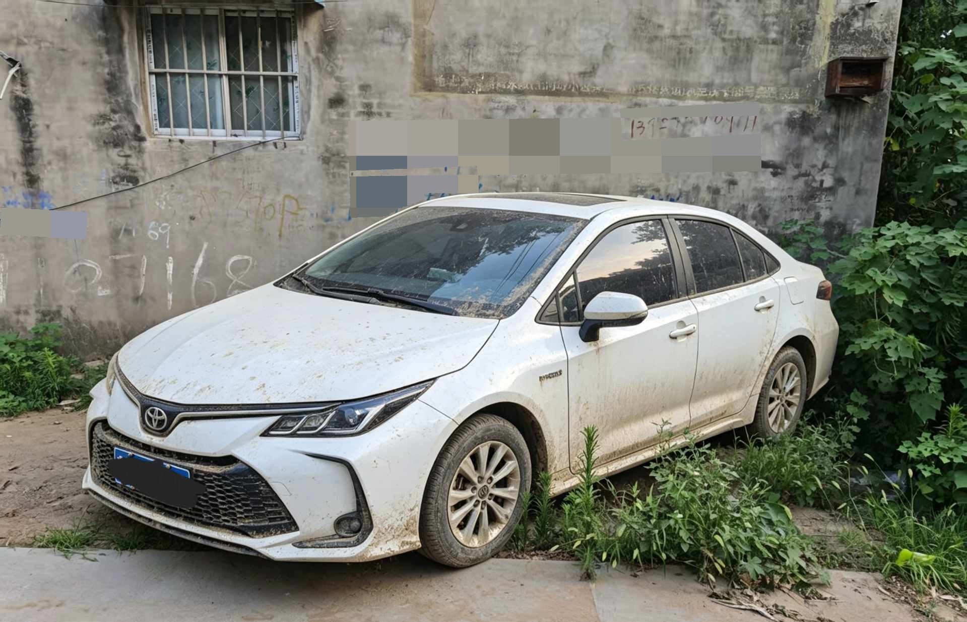 Toyota Corolla 2023 Toyota Corolla 2023 car image