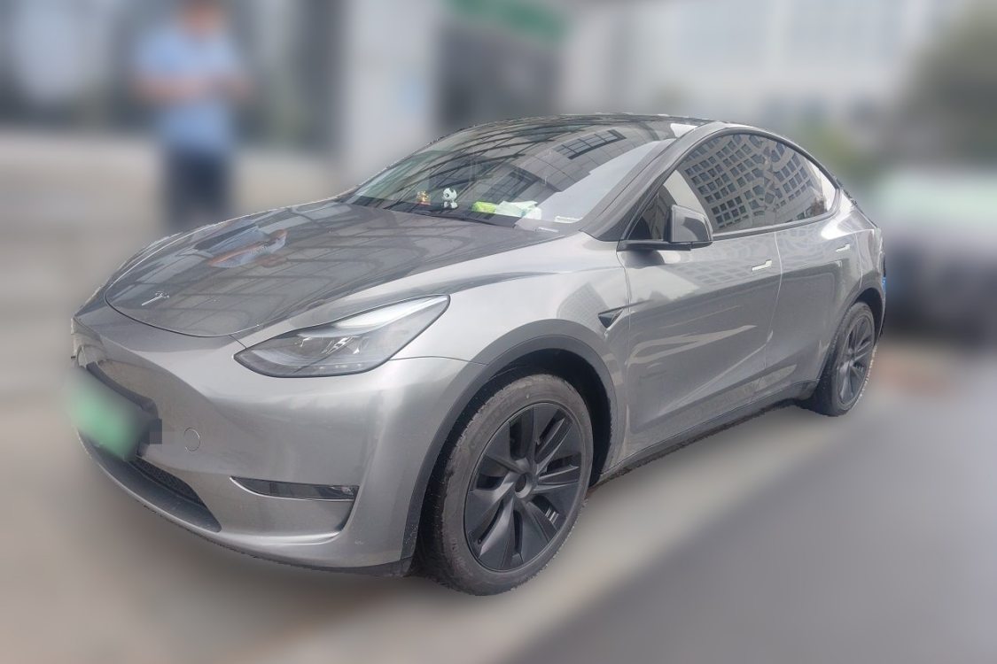 Tesla Model Y 2024 car image 