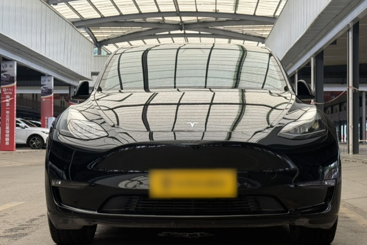Tesla Model Y 2021 #8 Tesla Model Y 2021 car image #8
