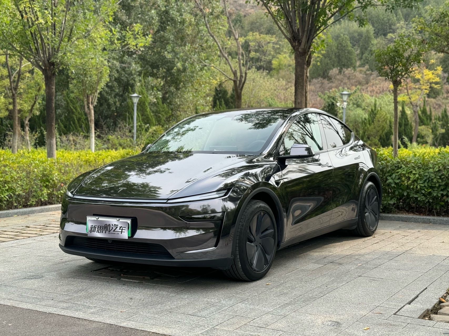 Tesla Model Y 2025 Tesla Model Y 2025 car image