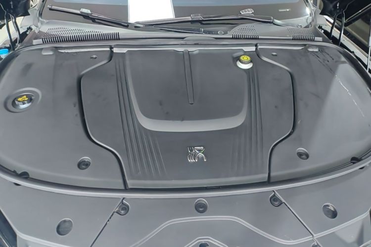 BYD Han 2024 car image #20