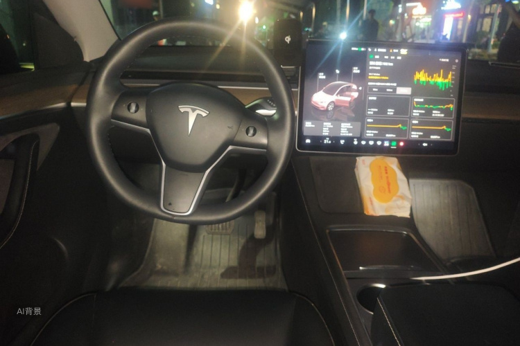 Tesla Model Y 2022 #12 Tesla Model Y 2022 car image #12