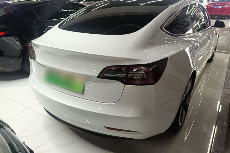 Tesla Model 3 2021 immagine di auto #7