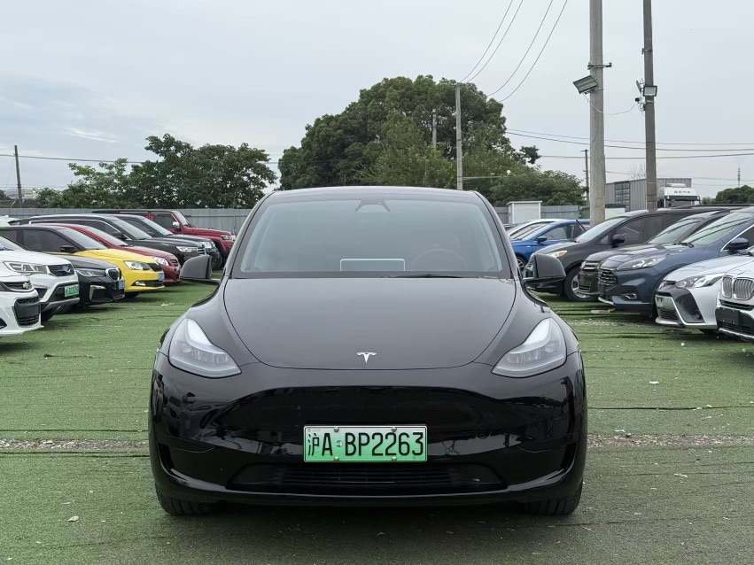 Tesla Model Y 2023 Tesla Model Y 2023 car image