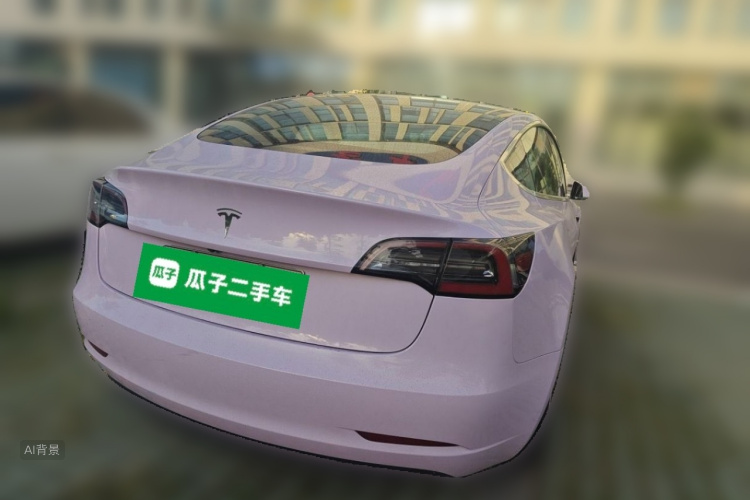 Tesla Model 3 2020 car image #6