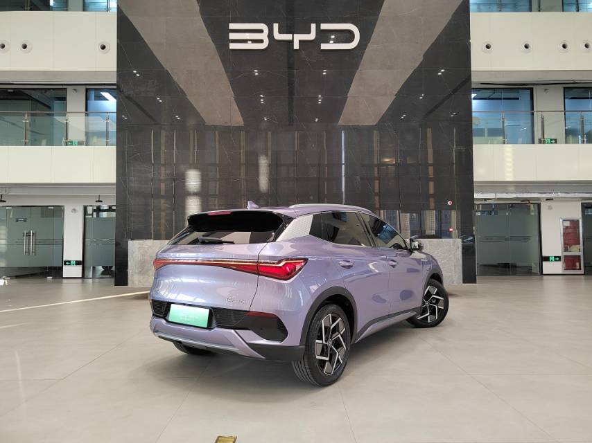 BYD Yuan Plus 2023 #9 BYD Yuan Plus 2023 immagine di auto #9