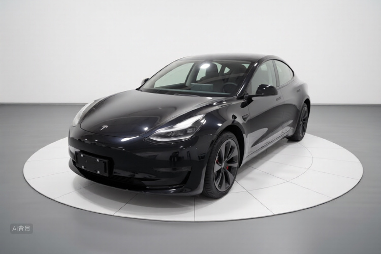 Tesla Model 3 2023 car image #2