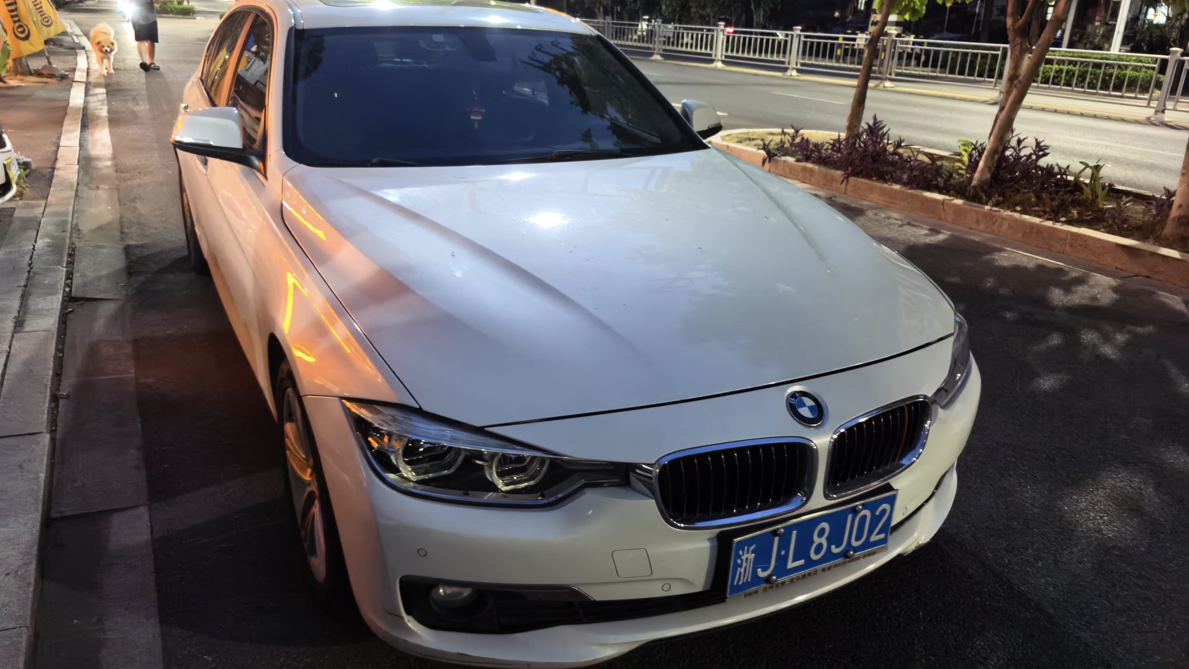 BMW 3 Series 2017 #6 BMW 3 Series 2017 car image #6