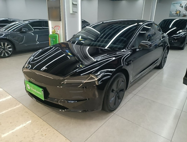 Tesla Model 3 2023 Tesla Model 3 2023 car image