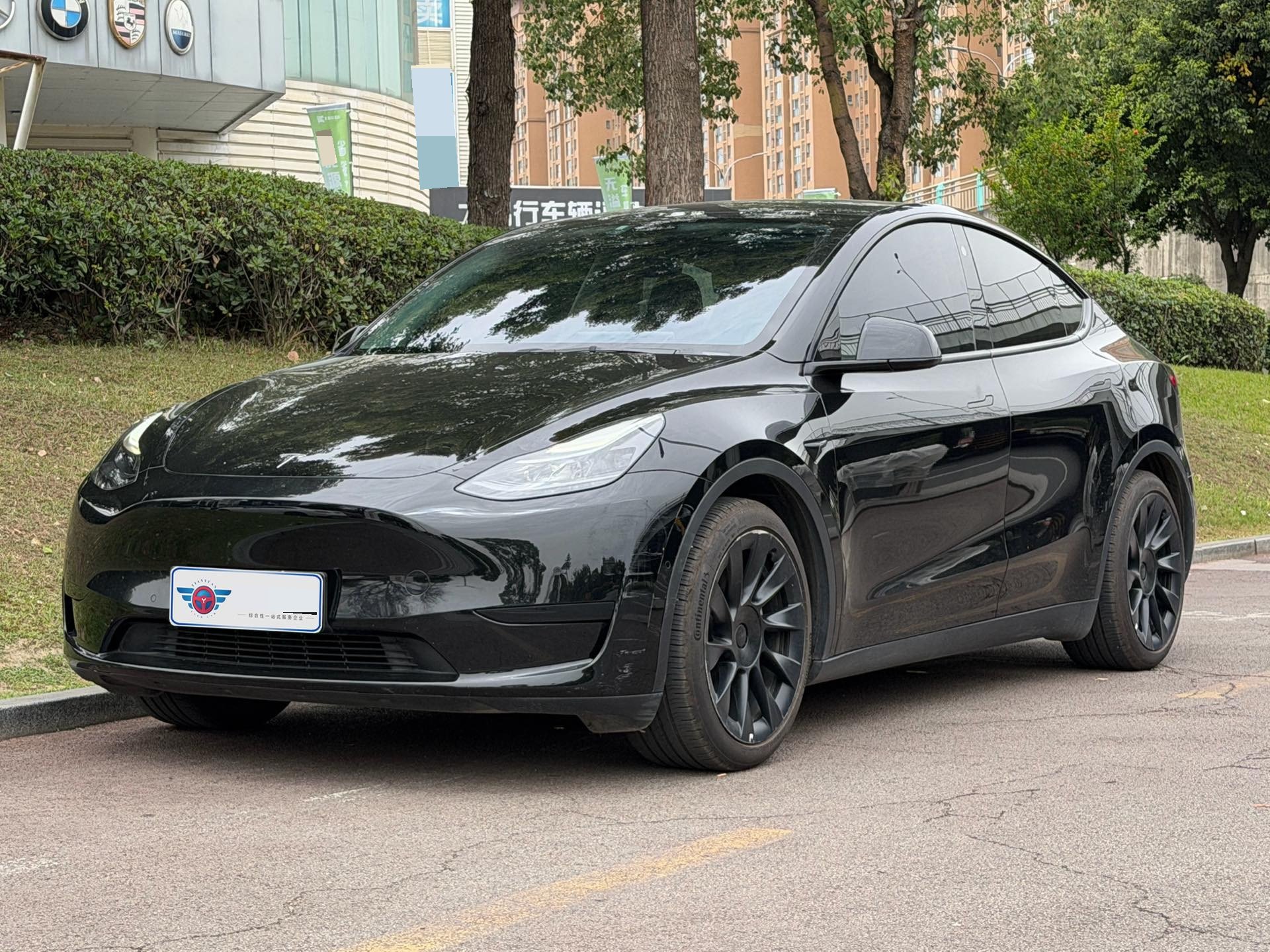 Tesla Model Y 2022 car image 