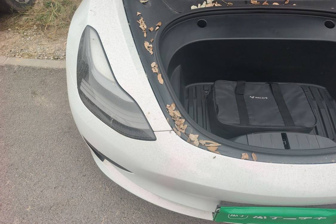 Tesla Model 3 2021 car image #11