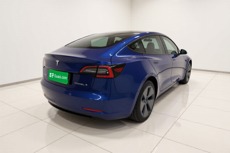 Tesla Model 3 2021 car image #7