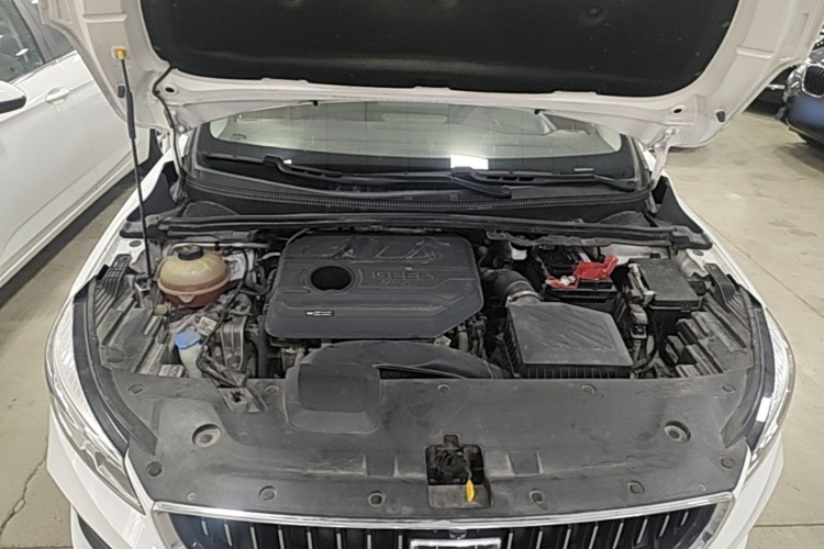 GEELY Emgrand S 2021 car image #20