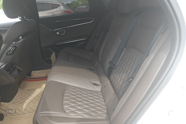 BYD Han 2020 car image #19
