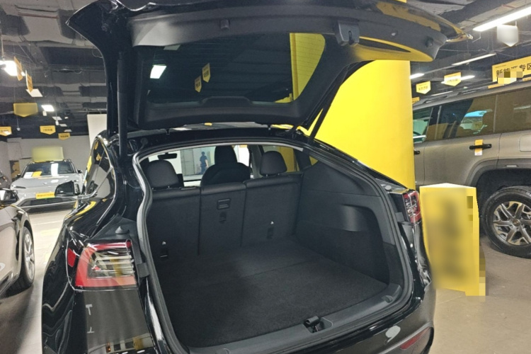 Tesla Model Y 2023 #19 Tesla Model Y 2023 car image #19