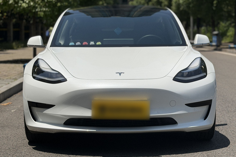 Tesla Model 3 2020 car image #3