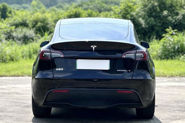 Tesla Model Y 2021 #11 Tesla Model Y 2021 car image #11