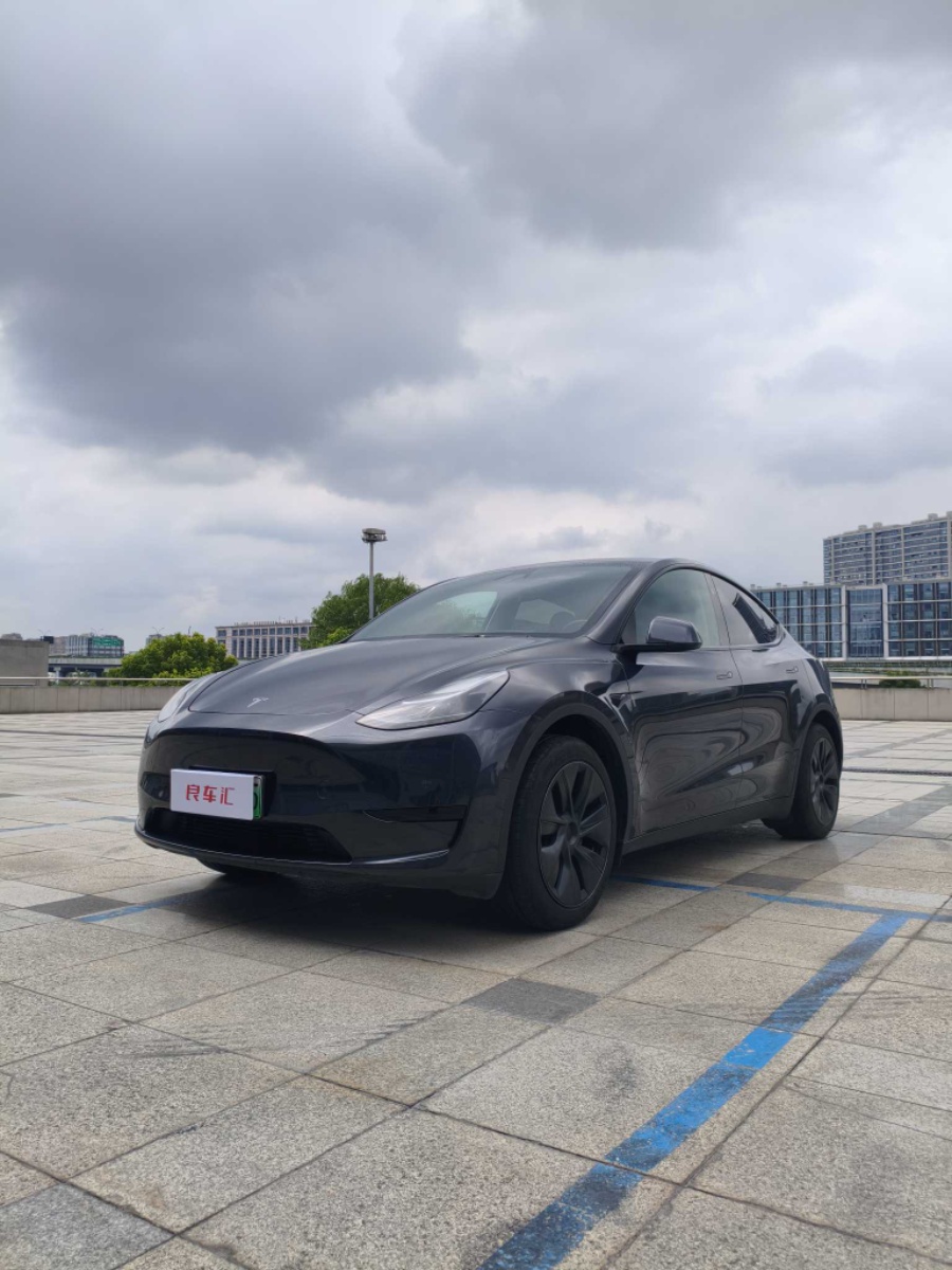 Tesla Model Y 2024 car image 
