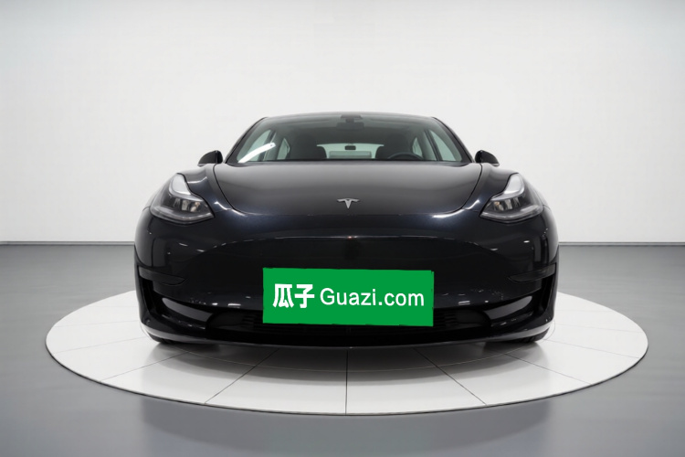 Tesla Model 3 2020 car image #3