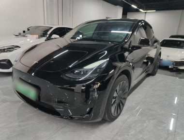 Tesla Model Y 2022 Tesla Model Y 2022 car image