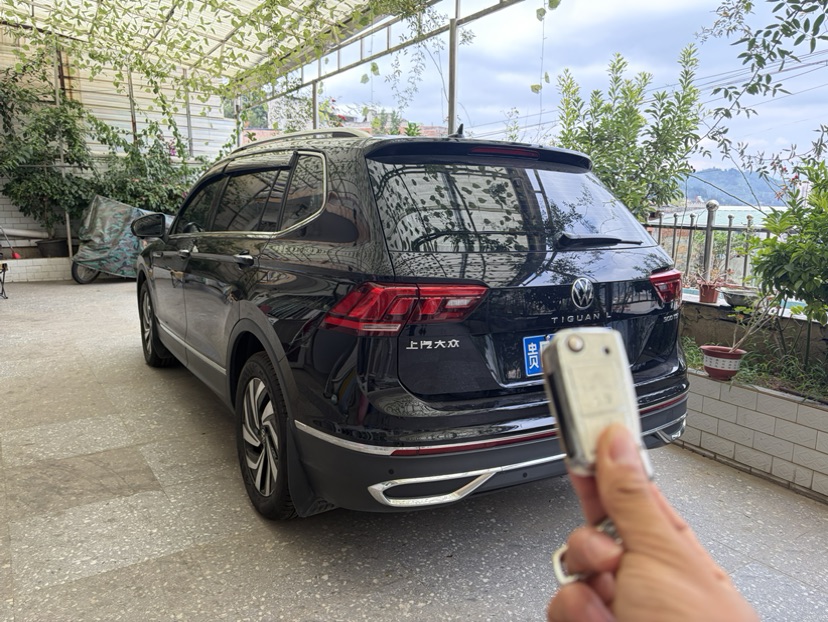 Volkswagen Tiguan L 2024 car image #4