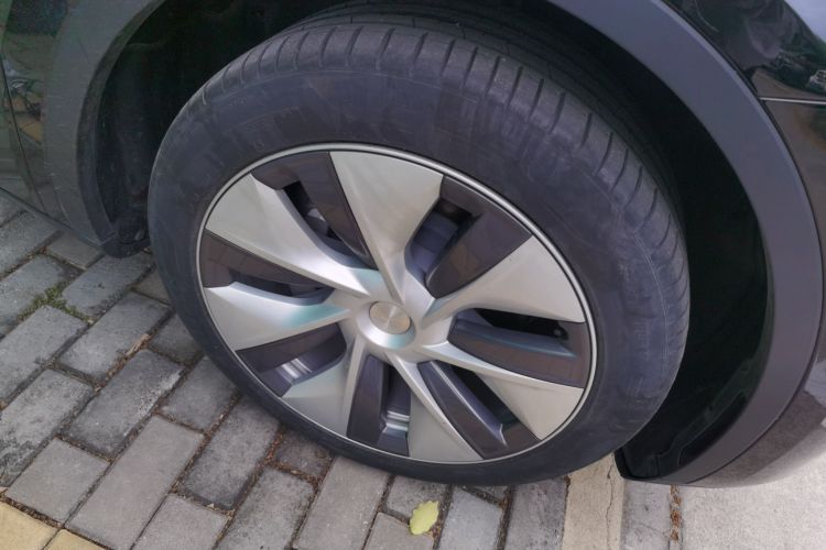 Tesla Model Y 2022 #6 Tesla Model Y 2022 car image #6