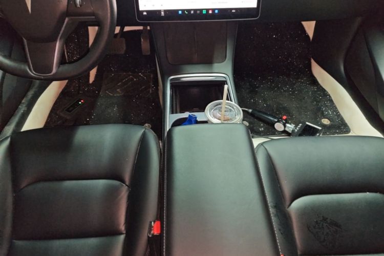 Tesla Model 3 2021 car image #14