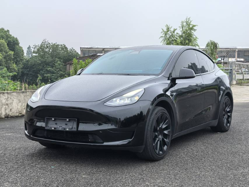 Tesla Model Y 2022 Tesla Model Y 2022 car image