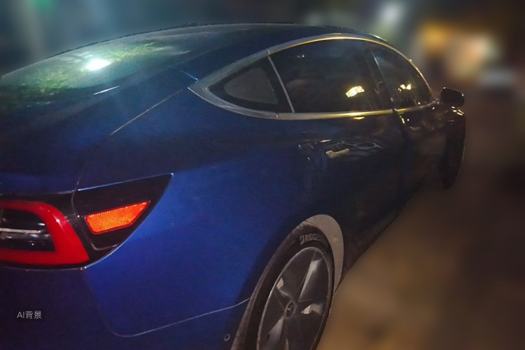 Tesla Model 3 2020 car image #7