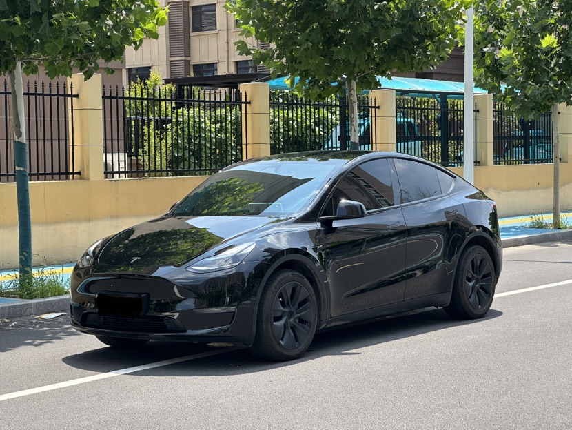 Tesla Model Y 2024 car image 