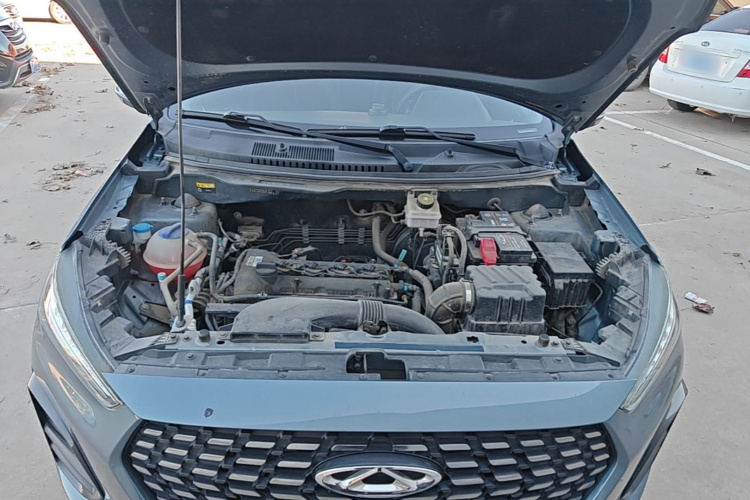 Chery Tiggo 3x 2021 car image #20