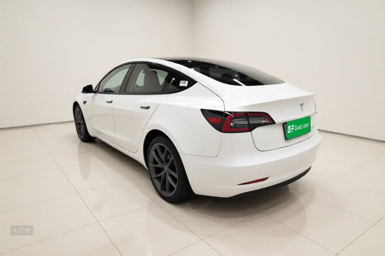 Tesla Model 3 2021 car image #5