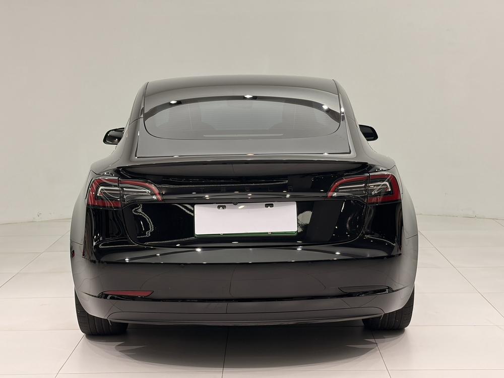 Tesla Model 3 2021 car image #5