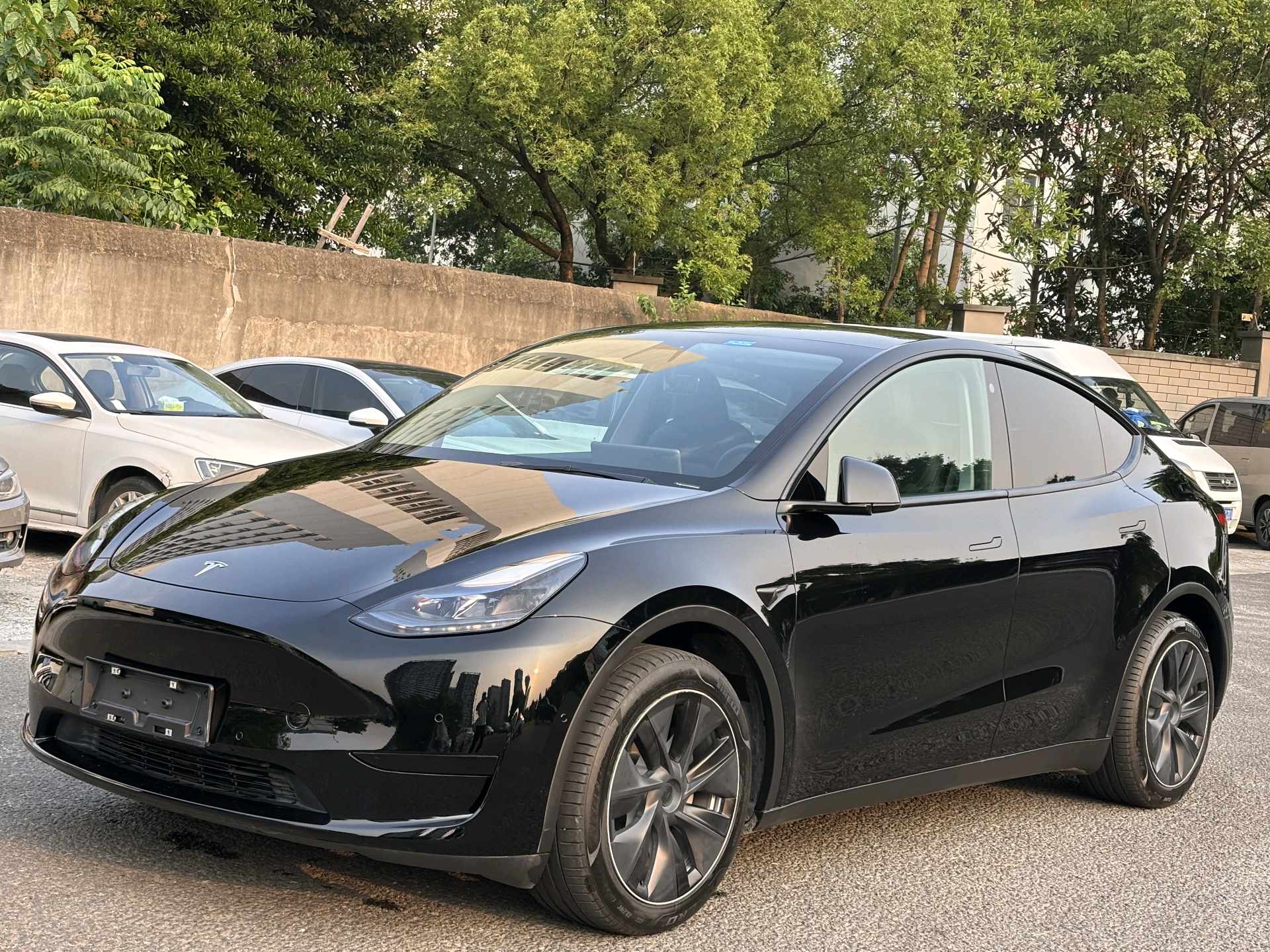 Tesla Model Y 2023 Tesla Model Y 2023 car image