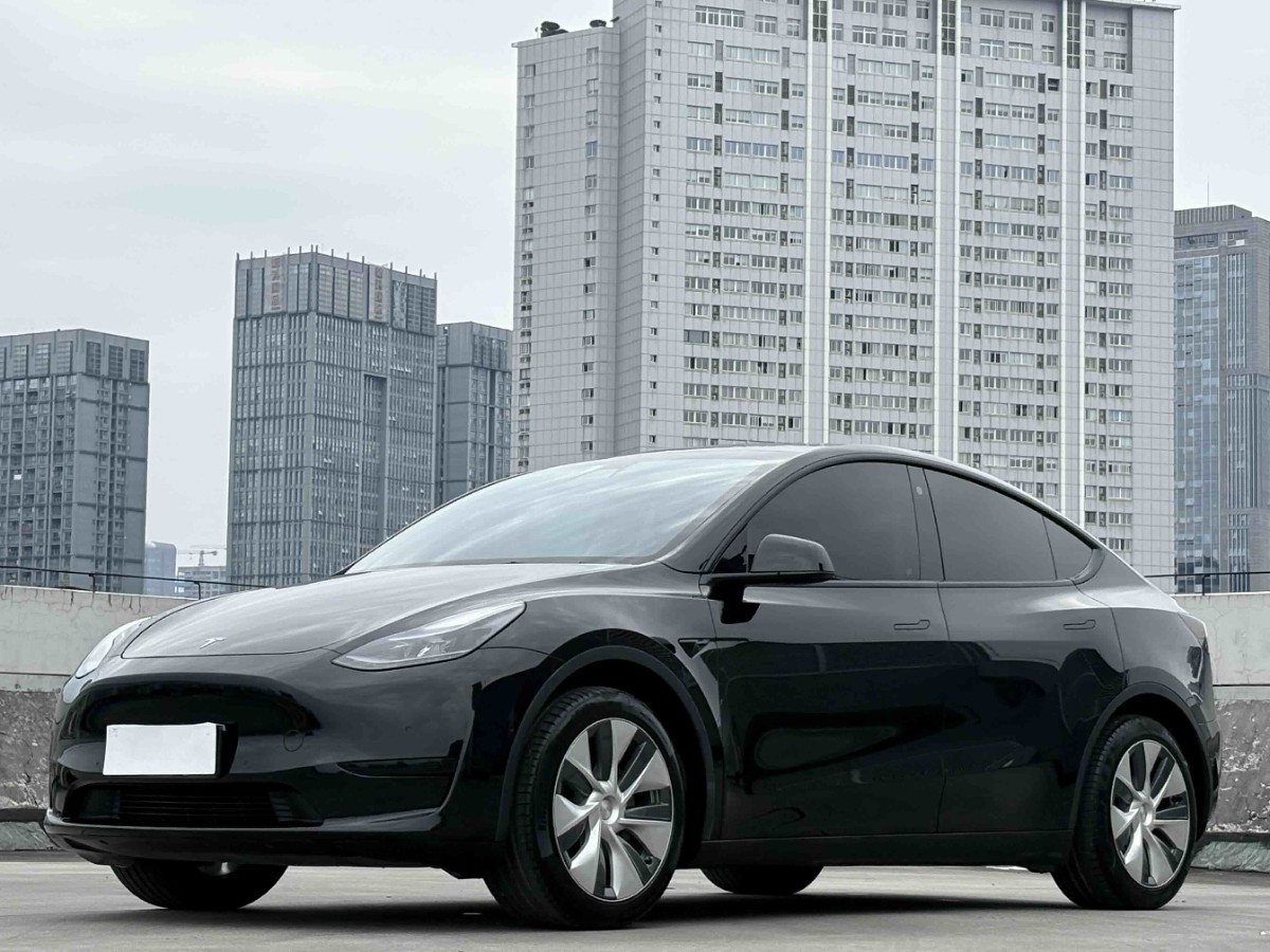 Tesla Model Y 2023 #2 Tesla Model Y 2023 car image #2