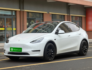 Tesla Model Y 2022 Tesla Model Y 2022 car image