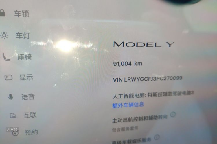 Tesla Model Y 2023 car image #14