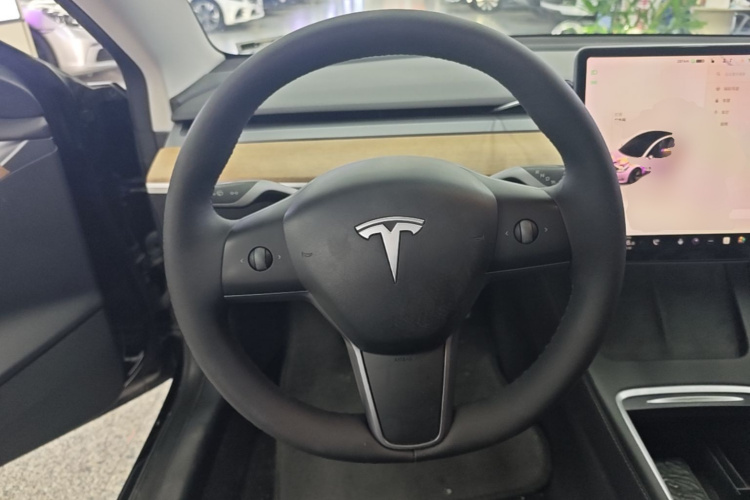 Tesla Model 3 2022 #11 Tesla Model 3 2022 car image #11