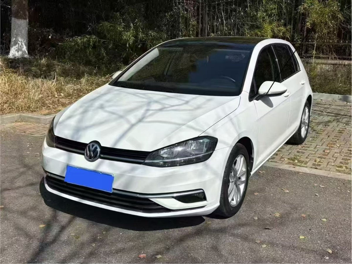 Volkswagen Golf 2019 #9 Volkswagen Golf 2019 car image #9